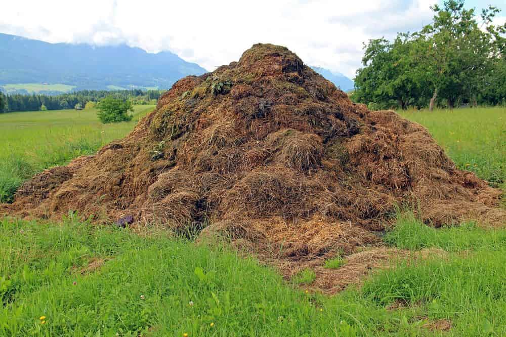 Yard Waste Removal image