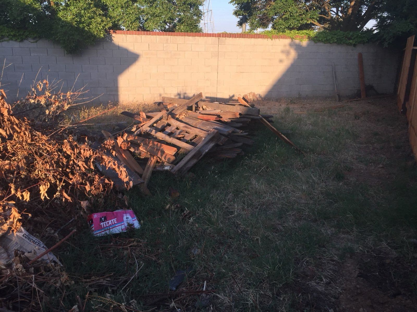 Project Backyard Transformation in Folsom image