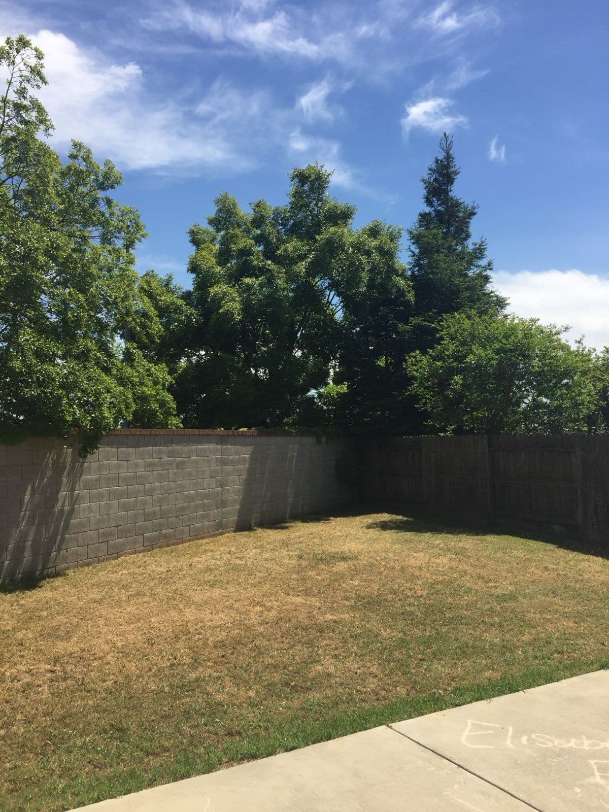 Backyard Transformation in Folsom