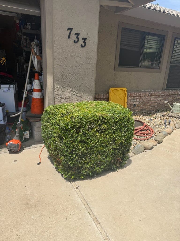 Gallery photos for Transforming Yards with Expert Care: Image #1